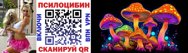 Галлюциногенные грибы мухоморы  купить наркотики сайты  Пудож 